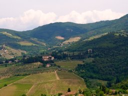 Toscana2011-7